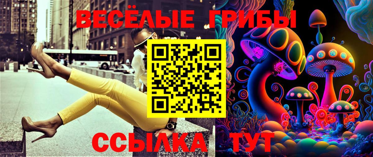 Мефедрон  Тимашёвск  МЕФ кристаллы  COCAIN  Вход с VPN  Гашиш  Экстази  Каннабис  Метадон  Каннабис  МЕТАМФЕТАМИН 