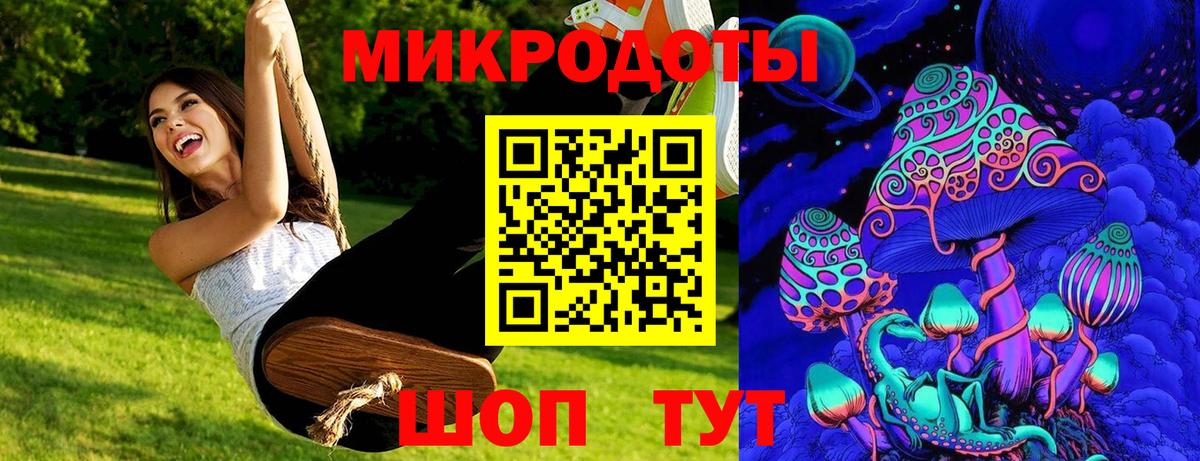 Псилоцибиновые грибы прущие грибы Тимашёвск