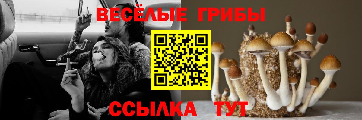 Псилоцибиновые грибы Psilocybine cubensis  Вход с VPN  Тимашёвск 