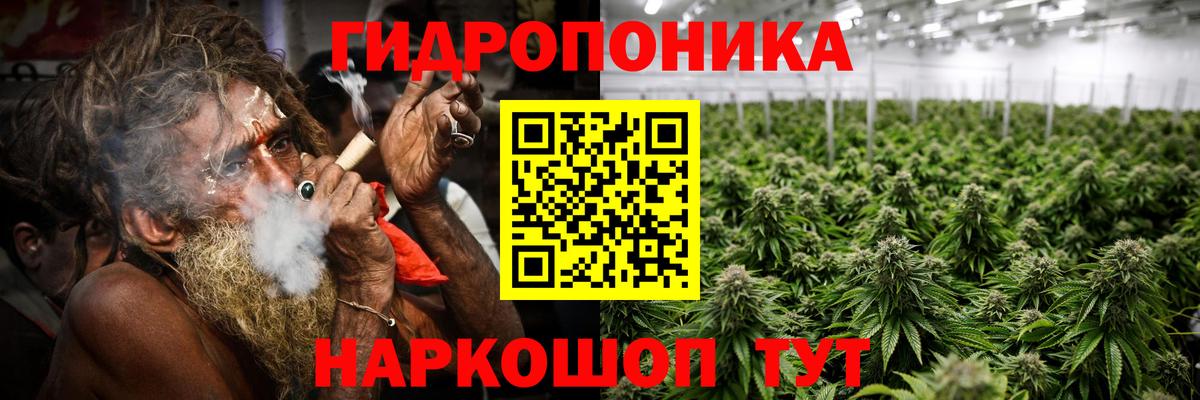 Каннабис планчик Тимашёвск